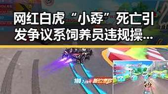 网红白虎“小孬”死亡引发争议系饲养员违规操作与住房公积金条例修订引发关注