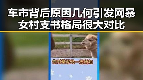 车市背后原因几何引发网暴女村支书格局很大对比
